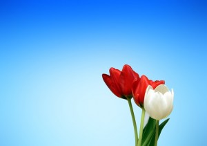 Primavera