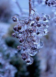 IMG_4599b